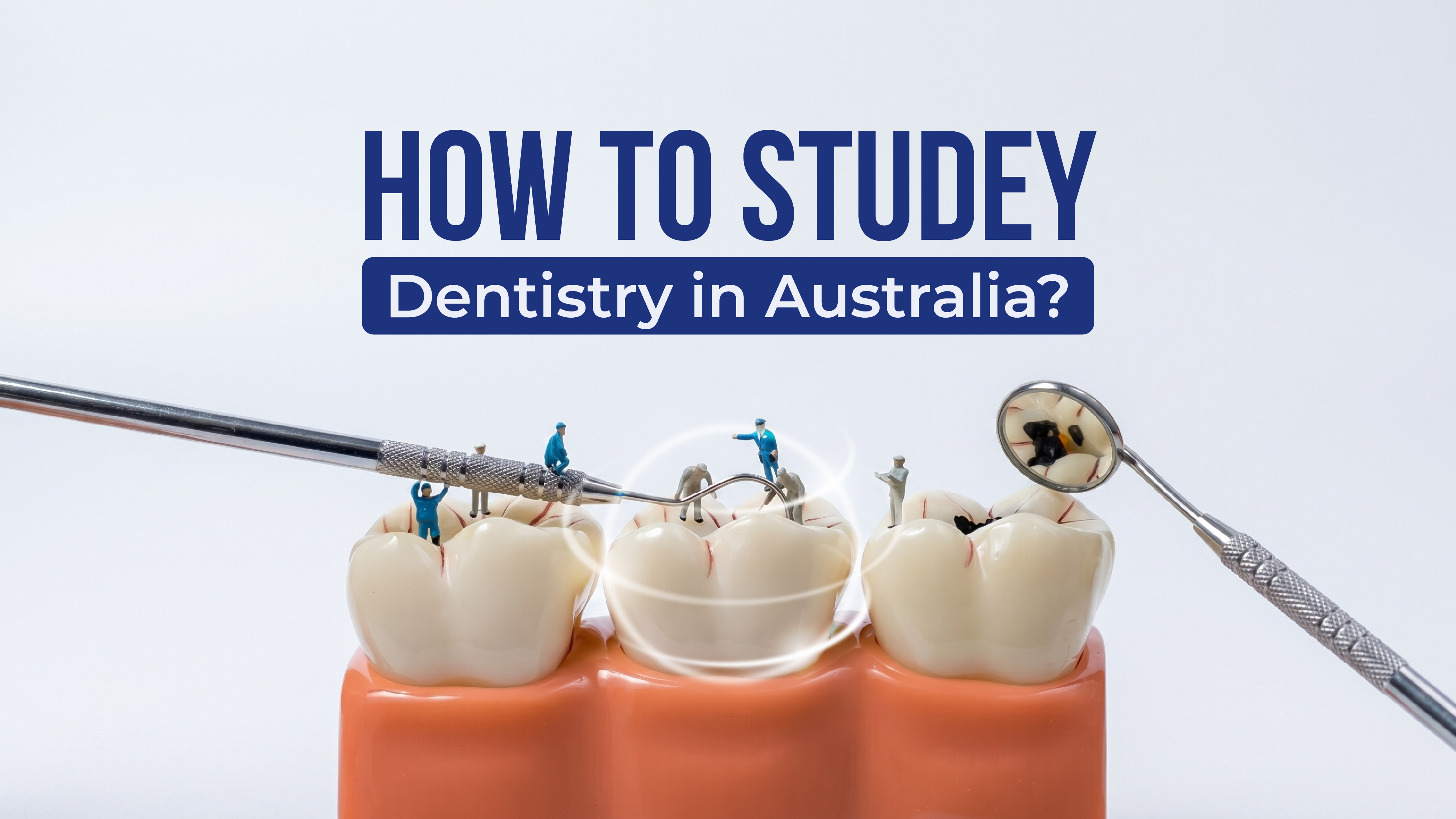 How to Study Dentistry in Australia: A Complete Guide for International Students (2026)